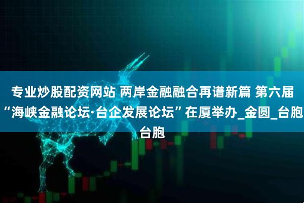 专业炒股配资网站 两岸金融融合再谱新篇 第六届“海峡金融论坛·台企发展论坛”在厦举办_金圆_台胞